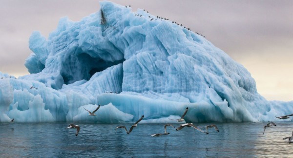 俄媒：俄將出現(xiàn)開發(fā)北極礦藏的水下機(jī)器人原型機(jī)