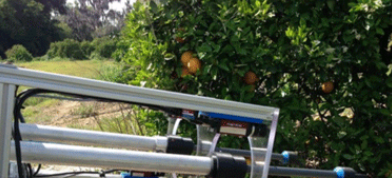 農(nóng)業(yè)和機(jī)器人結(jié)合將產(chǎn)生革命性變化