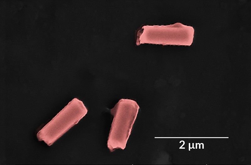 納米機(jī)器人新進(jìn)展：可以清掃人體血液中的細(xì)菌和毒素