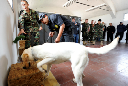 可以聞到氣味的機(jī)器人，追蹤犬要下崗了嗎？