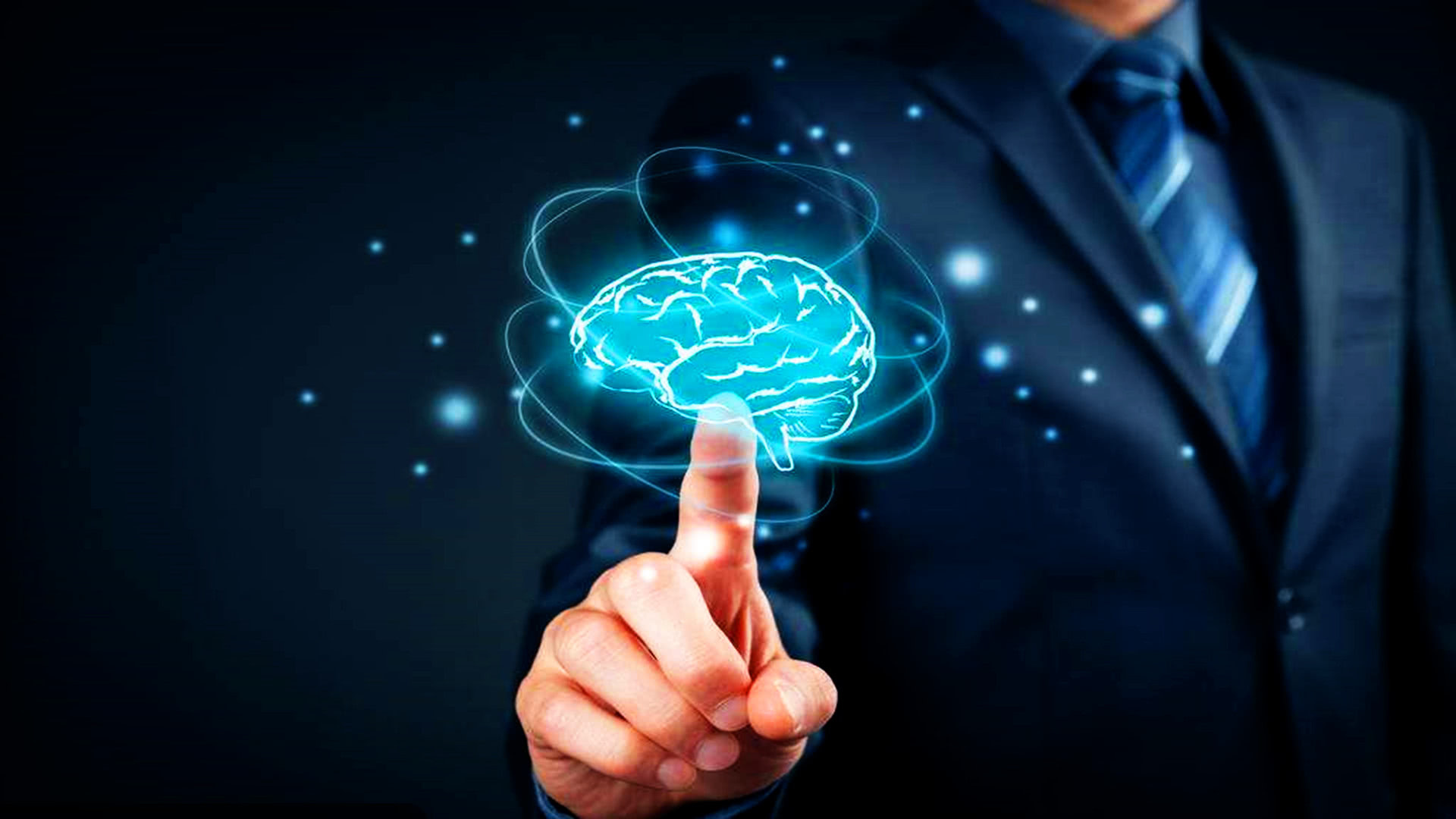  沒(méi)有腦子的蟲(chóng)子，竟會(huì)做微積分