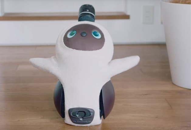  “沒用”的日本家用機器人：設(shè)計是為了愛