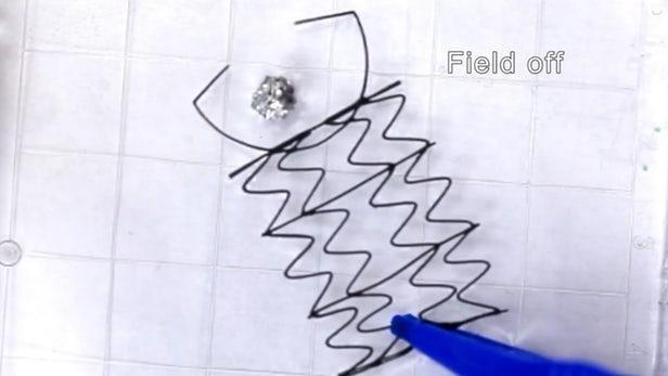 3D打印磁性網(wǎng)格“機(jī)器人”可浮動(dòng)、彎曲和按需抓取