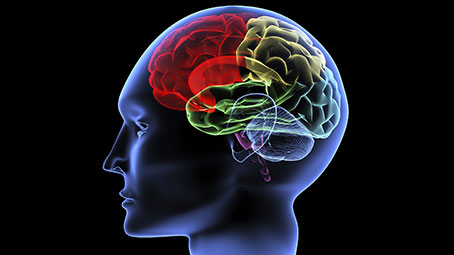 神經(jīng)科學(xué)到底如何進(jìn)一步助力人工智能發(fā)展？